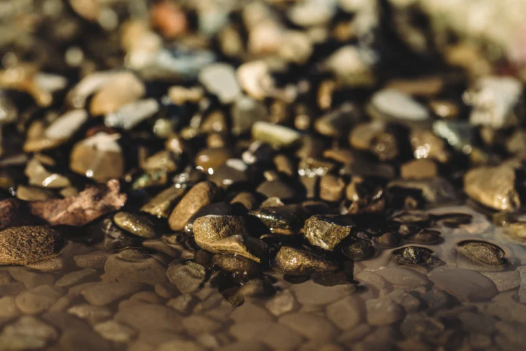 Metal Scrap Recycling Services